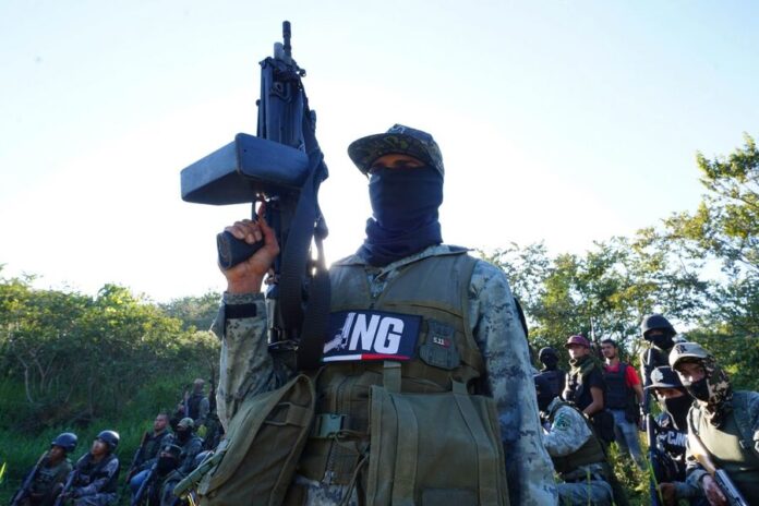 Grupo Operativo Lagarto CJNG-13