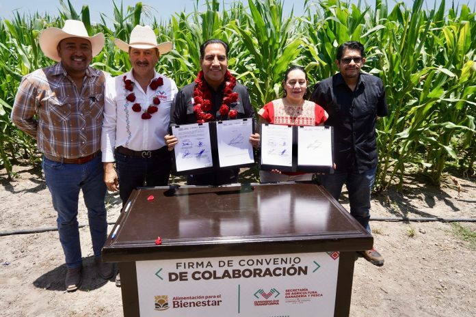 52462bbf-92ff-42d4-a6f8-860632cae810