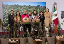 Oaxaca, rumbo a la autosuficiencia de maíz nativo con nuevo programa federal: Antonino Morales