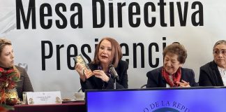 Reforma Electoral será el platillo fuerte del próximo periodo ordinario; no irá “fast track” y será tan profunda como la judicial: Laura Itzel Castillo