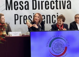 Reforma Electoral será el platillo fuerte del próximo periodo ordinario; no irá “fast track” y será tan profunda como la judicial: Laura Itzel Castillo
