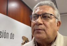 SNTE respalda correcciones a libros de texto y señala falta de presupuesto para capacitar a docentes