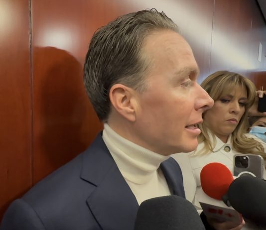 “Como venga” vs. condiciones indeclinables: el Verde se parte ante la reforma electoral