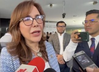 Polevnsky advierte: plurinominales sin recursos “no son viables” en reforma electoral