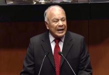 PT apoya Plan B en lo general, pero se distancia de revocación de mandato de Sheinbaum