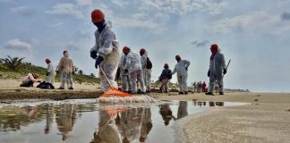 Derrame en el Golfo: Sheinbaum convoca reunión clave con grupo interinstitucional y apunta a “chapopoteras” como principal causa