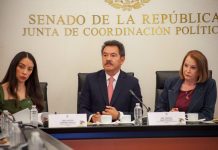 “No habrá paredón político en el Senado”: Ignacio Mier sale en defensa de Adán Augusto