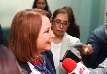 Laura Itzel plantea revisar la duración de la presidencia del Senado