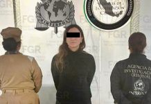 Detienen a Gilda Lozoya, hermana de Emilio Lozoya, por presunto lavado de dinero ligado al caso Agronitrogenados