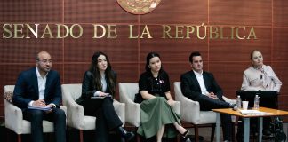 Karla Estrella acusa que leyes pueden convertirse en “mordaza” para ciudadanos