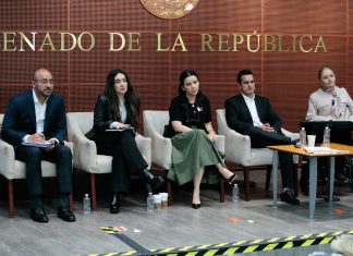 Karla Estrella acusa que leyes pueden convertirse en “mordaza” para ciudadanos