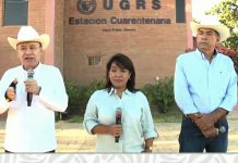 Sonora reabre exportación de ganado a EU con capacidad sanitaria reforzada