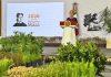 Sheinbaum lanza la primera Jornada Nacional de Reforestación; sembrarán 6.6 millones de árboles