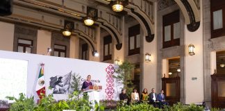 Sheinbaum lanza la primera Jornada Nacional de Reforestación; sembrarán 6.6 millones de árboles
