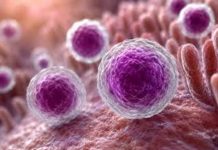 Confirma Salud 33 casos de ciclosporiasis, pero descarta evidencia que vincule brote en EU