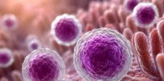 Confirma Salud 33 casos de ciclosporiasis, pero descarta evidencia que vincule brote en EU