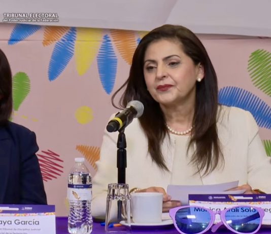 Mónica Soto renuncia al TEPJF y deja el cargo antes de concluir su periodo