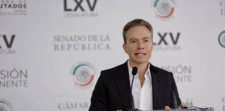 Partido Verde se desmarca de Rocha Moya: “No respalda ni comparte” su regreso a la gubernatura