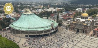 Casi 8 millones participan en Simulacro Nacional; CDMX evacúa en 1 minuto 43 segundos