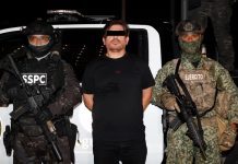 Detienen en Mazatlán a “El Peli”, operador de “Los Chapitos”