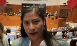 Reyna Celeste Ascencio reconoce falta de “piso parejo” en proceso de Michoacán; pide respetar encuestas y mantener la unidad