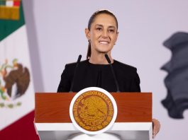 Sheinbaum se deslinda de disputa Morena-PT y respalda encuestas para definir coordinadores