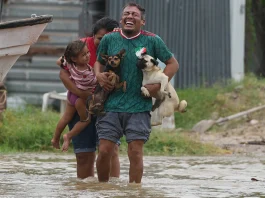 Polo deja saldo blanco en Baja California Sur; 700 personas regresan a sus hogares