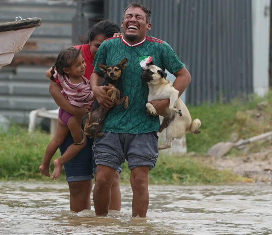 Polo deja saldo blanco en Baja California Sur; 700 personas regresan a sus hogares
