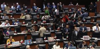 Senado aprueba nueva Ley de Protección Animal; habrá registro nacional y multas