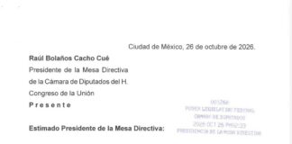 “Me retiro con serenidad y la satisfacción del deber cumplido”: Guadalupe Taddei oficializa su renuncia al INE
