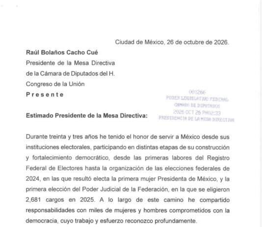 “Me retiro con serenidad y la satisfacción del deber cumplido”: Guadalupe Taddei oficializa su renuncia al INE
