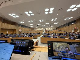 ONU advierte indicios de desapariciones forzadas como crímenes de lesa humanidad en México