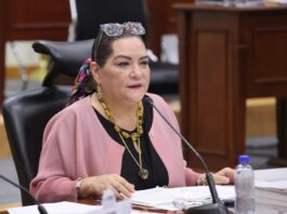 “No vamos a claudicar ante presiones, descalificaciones y ataques”: Taddei defiende al INE