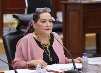 “No vamos a claudicar ante presiones, descalificaciones y ataques”: Taddei defiende al INE