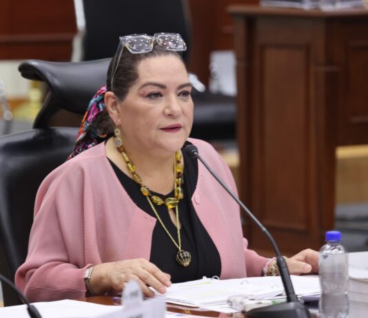 “No vamos a claudicar ante presiones, descalificaciones y ataques”: Taddei defiende al INE