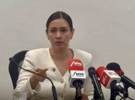 Renuncian 12 colaboradores cercanos a Guadalupe Taddei en el INE; revisan posibles auditorías antes de entregar finiquitos