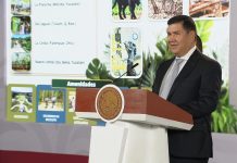 Grupo Mundo Maya acelera negocios y fija 2028 como meta para alcanzar el equilibrio financiero