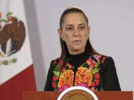 Sheinbaum avala salida de Taddei del INE: “Toma una buena decisión de separarse del cargo”
