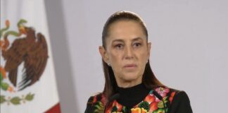 Sheinbaum avala salida de Taddei del INE: “Toma una buena decisión de separarse del cargo”