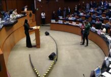 Senado avala ingresos por 10.6 billones de pesos y abre excepciones fiscales para automotrices y gasolineras